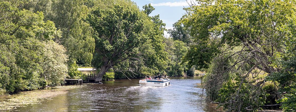 En skärgårdsbåt färdas över vattnet i en lummig miljö.